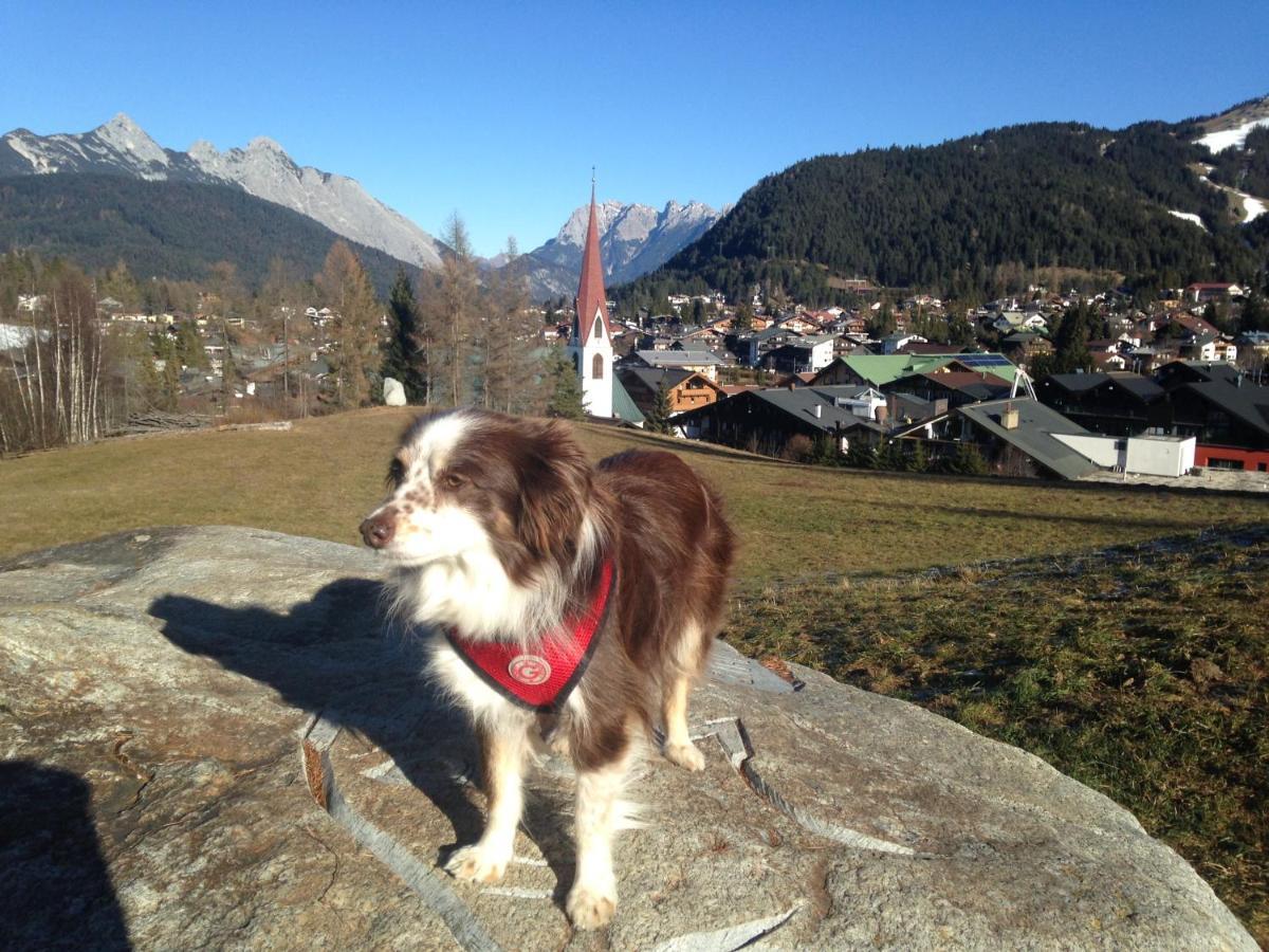 Lebensfreude Appartement Mittenwald