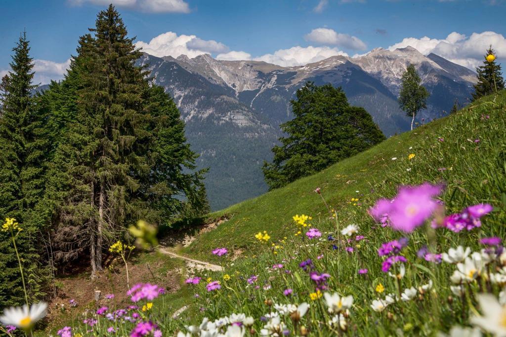 Lebensfreude Appartement Mittenwald